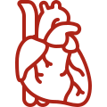 Cardiovascular