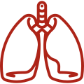 Lungs & Respiratory